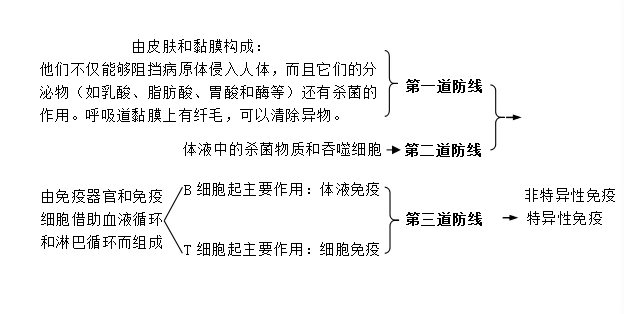 EVA泡棉廠家